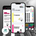 Turn a brain-focused exhibition into an interactive web app